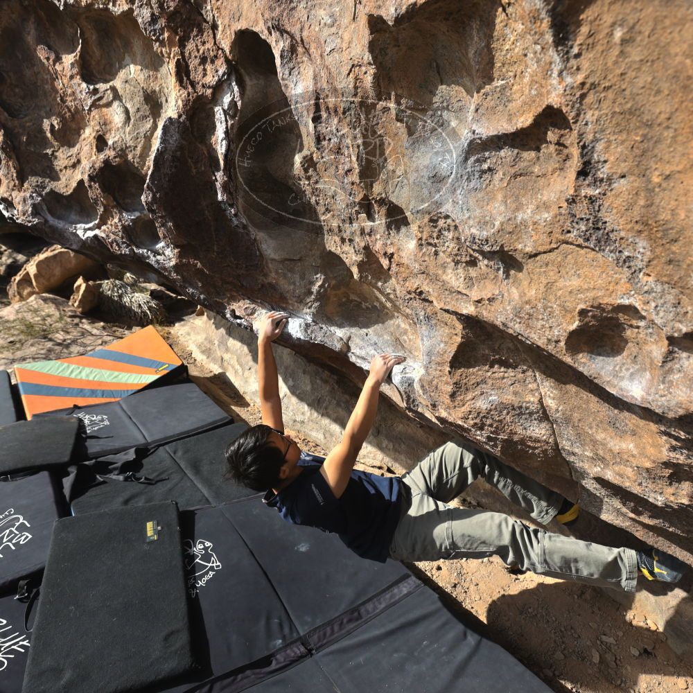 

Filename: SRM_20231125_1042160.jpg
Aperture: f/5.6
Shutter Speed: 1/800
Body: Canon EOS R6
Lens: Canon EF 16-35mm f/2.8 L