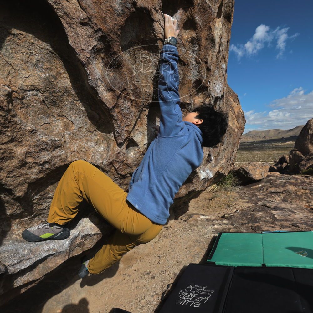 

Filename: SRM_20231125_1054050.jpg
Aperture: f/8.0
Shutter Speed: 1/1250
Body: Canon EOS R6
Lens: Canon EF 16-35mm f/2.8 L