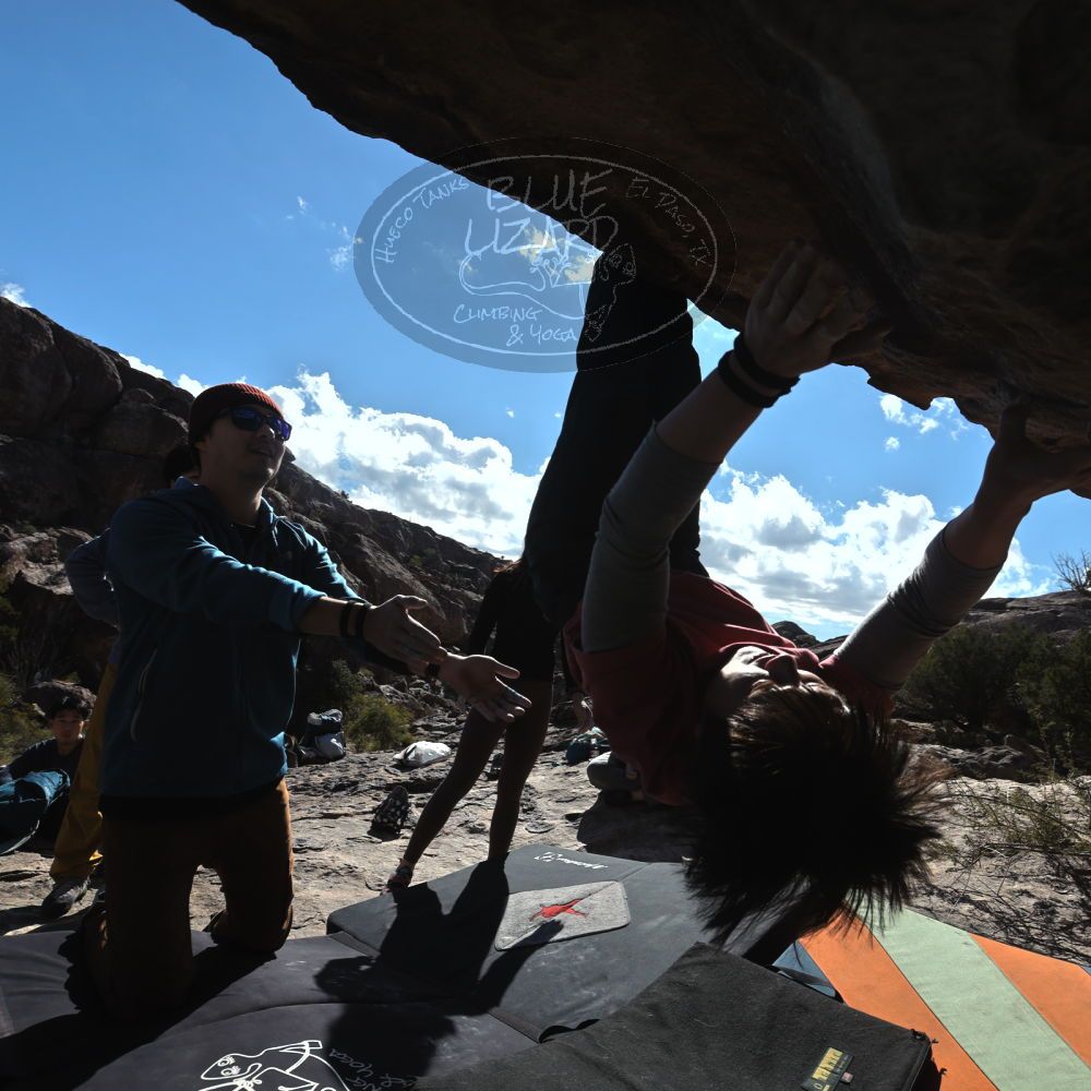 

Filename: SRM_20231125_1118240.jpg
Aperture: f/8.0
Shutter Speed: 1/1250
Body: Canon EOS R6
Lens: Canon EF 16-35mm f/2.8 L