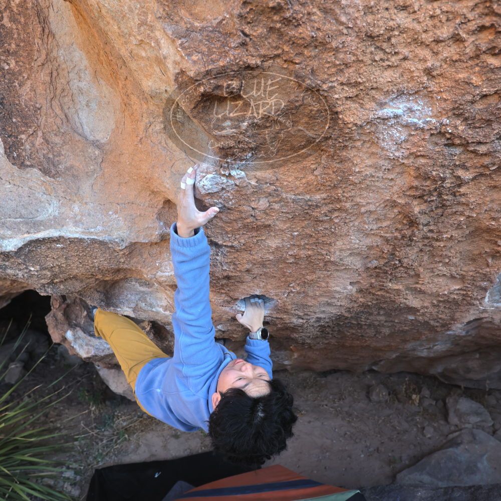 

Filename: SRM_20231125_1209580.jpg
Aperture: f/5.6
Shutter Speed: 1/320
Body: Canon EOS R6
Lens: Canon EF 16-35mm f/2.8 L