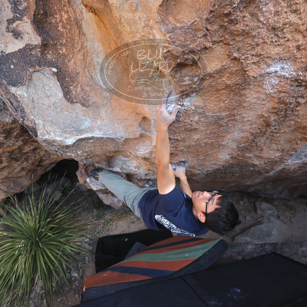 

Filename: SRM_20231125_1211270.jpg
Aperture: f/5.6
Shutter Speed: 1/320
Body: Canon EOS R6
Lens: Canon EF 16-35mm f/2.8 L