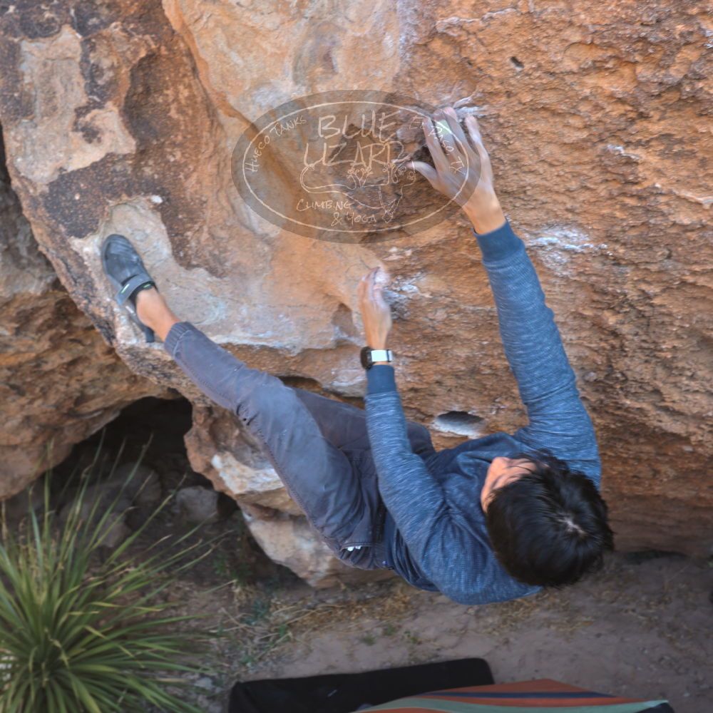 

Filename: SRM_20231125_1218360.jpg
Aperture: f/5.6
Shutter Speed: 1/80
Body: Canon EOS R6
Lens: Canon EF 16-35mm f/2.8 L