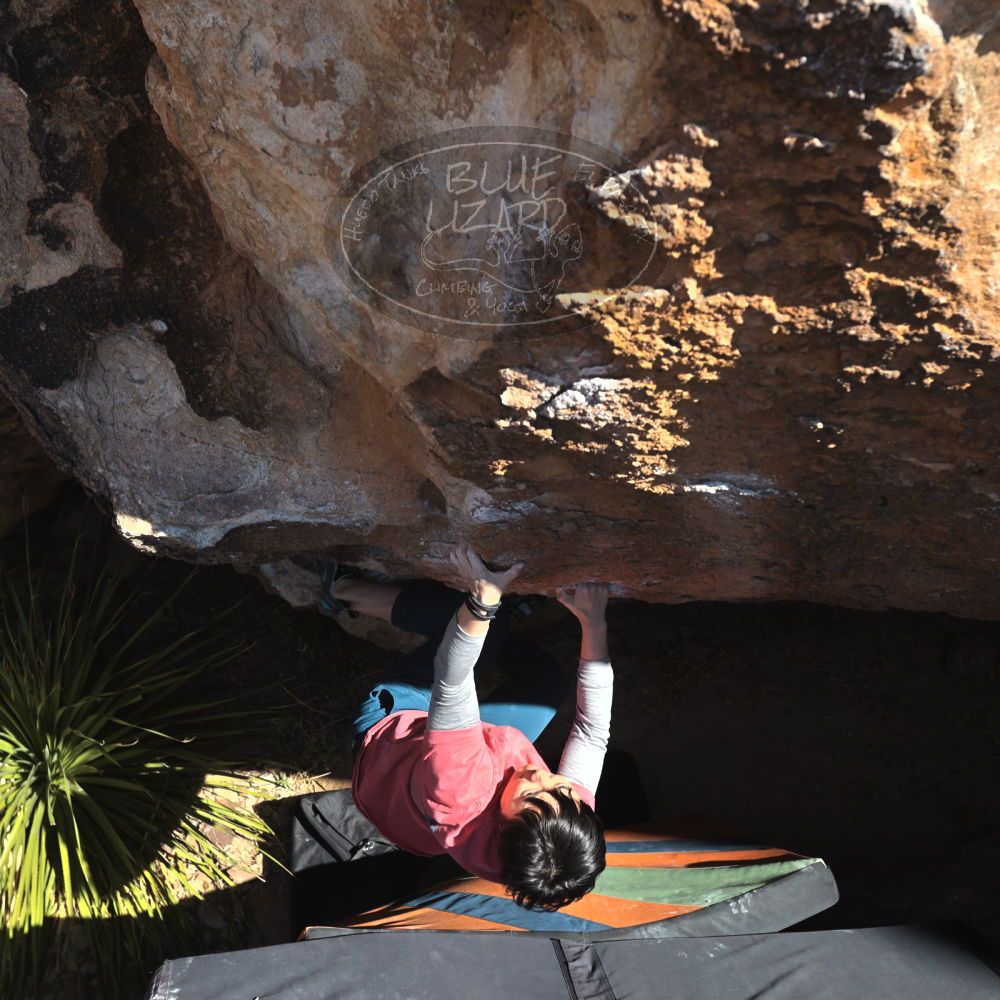 

Filename: SRM_20231125_1233270.jpg
Aperture: f/5.6
Shutter Speed: 1/400
Body: Canon EOS R6
Lens: Canon EF 16-35mm f/2.8 L