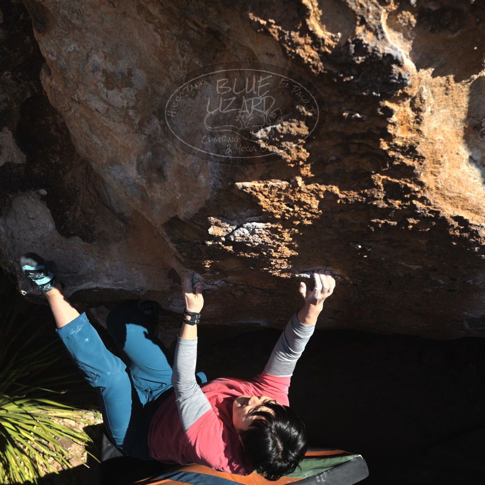 

Filename: SRM_20231125_1233320.jpg
Aperture: f/5.6
Shutter Speed: 1/640
Body: Canon EOS R6
Lens: Canon EF 16-35mm f/2.8 L