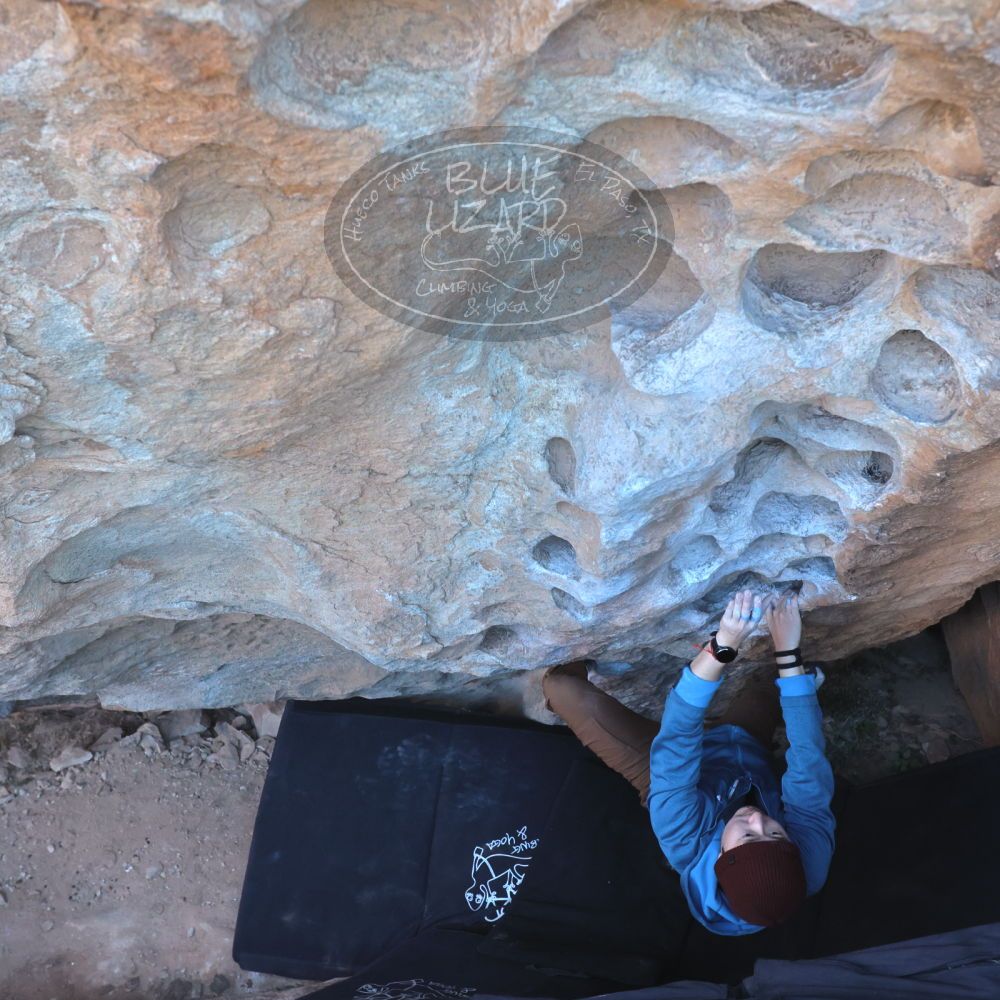 

Filename: SRM_20231125_1239350.jpg
Aperture: f/5.6
Shutter Speed: 1/640
Body: Canon EOS R6
Lens: Canon EF 16-35mm f/2.8 L