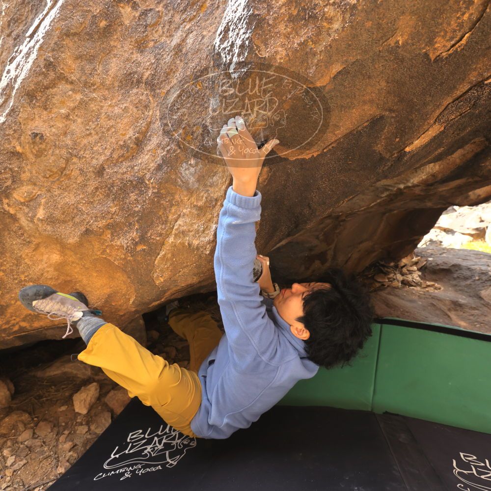 

Filename: SRM_20231125_1341520.jpg
Aperture: f/5.6
Shutter Speed: 1/500
Body: Canon EOS R6
Lens: Canon EF 16-35mm f/2.8 L