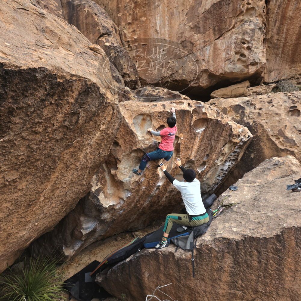 

Filename: SRM_20231125_1344190.jpg
Aperture: f/5.6
Shutter Speed: 1/500
Body: Canon EOS R6
Lens: Canon EF 16-35mm f/2.8 L