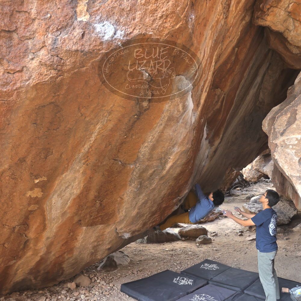 

Filename: SRM_20231125_1404561.jpg
Aperture: f/4.0
Shutter Speed: 1/400
Body: Canon EOS R6
Lens: Canon EF 16-35mm f/2.8 L