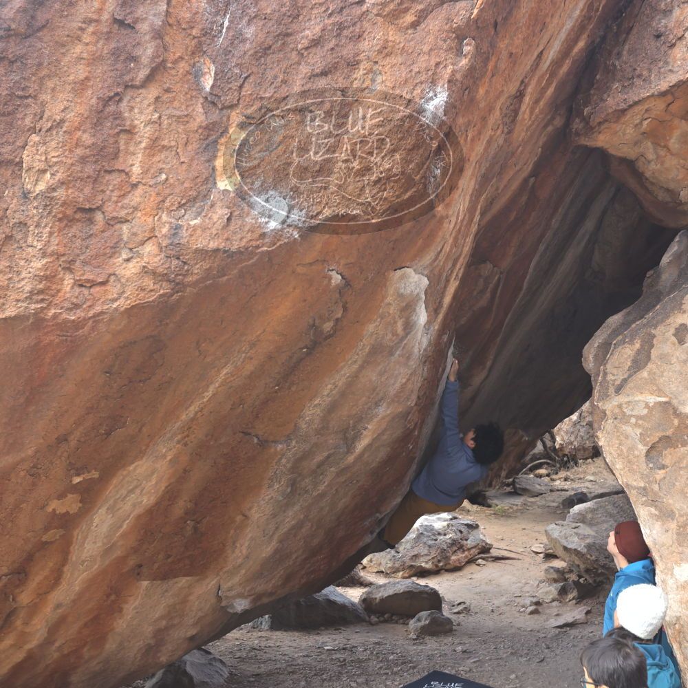 

Filename: SRM_20231125_1412250.jpg
Aperture: f/4.0
Shutter Speed: 1/320
Body: Canon EOS R6
Lens: Canon EF 16-35mm f/2.8 L