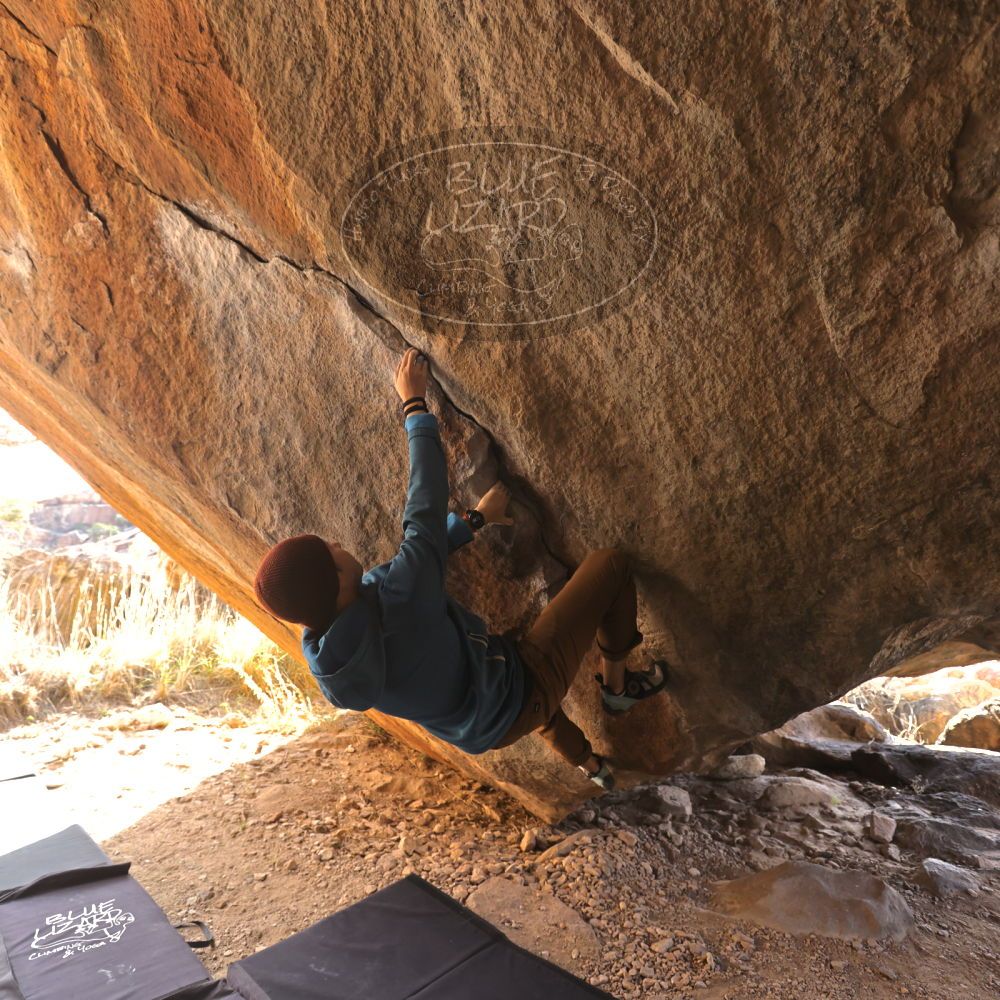 

Filename: SRM_20231125_1421380.jpg
Aperture: f/4.0
Shutter Speed: 1/320
Body: Canon EOS R6
Lens: Canon EF 16-35mm f/2.8 L