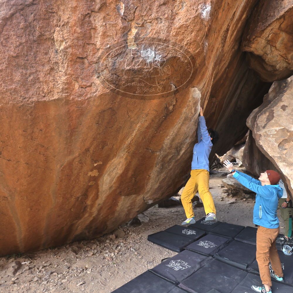 

Filename: SRM_20231125_1438310.jpg
Aperture: f/4.0
Shutter Speed: 1/320
Body: Canon EOS R6
Lens: Canon EF 16-35mm f/2.8 L