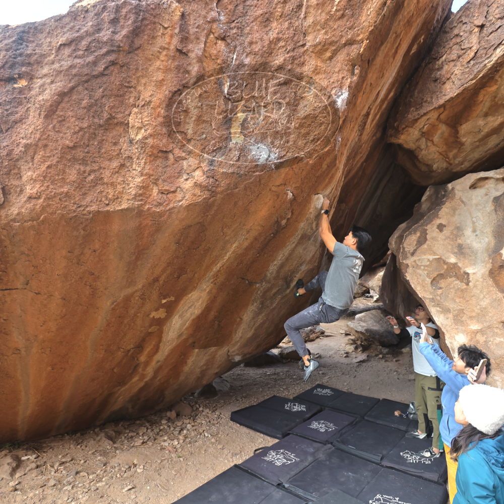 

Filename: SRM_20231125_1440500.jpg
Aperture: f/4.0
Shutter Speed: 1/320
Body: Canon EOS R6
Lens: Canon EF 16-35mm f/2.8 L