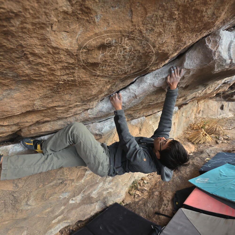 

Filename: SRM_20231125_1535170.jpg
Aperture: f/5.6
Shutter Speed: 1/500
Body: Canon EOS R6
Lens: Canon EF 16-35mm f/2.8 L