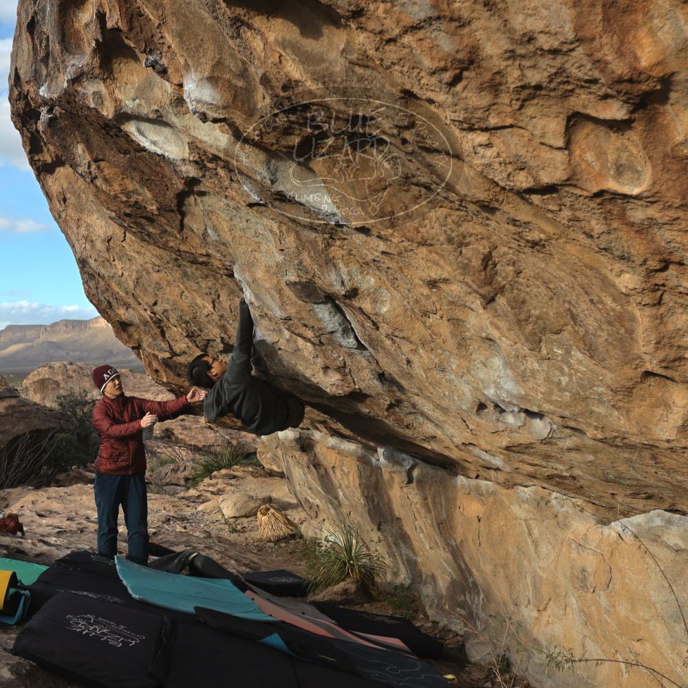 

Filename: SRM_20231125_1553110.jpg
Aperture: f/5.6
Shutter Speed: 1/640
Body: Canon EOS R6
Lens: Canon EF 16-35mm f/2.8 L