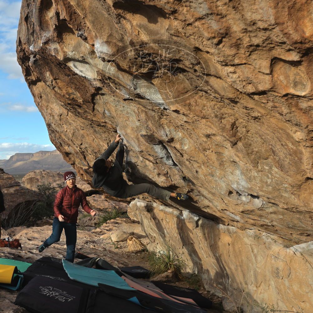 

Filename: SRM_20231125_1553250.jpg
Aperture: f/5.6
Shutter Speed: 1/640
Body: Canon EOS R6
Lens: Canon EF 16-35mm f/2.8 L