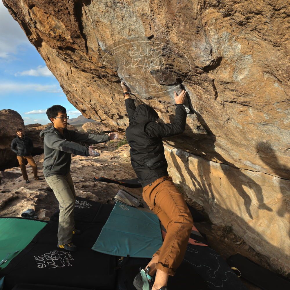 

Filename: SRM_20231125_1555151.jpg
Aperture: f/5.6
Shutter Speed: 1/640
Body: Canon EOS R6
Lens: Canon EF 16-35mm f/2.8 L