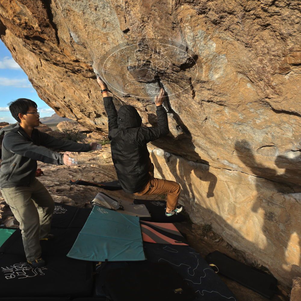 

Filename: SRM_20231125_1555163.jpg
Aperture: f/5.6
Shutter Speed: 1/640
Body: Canon EOS R6
Lens: Canon EF 16-35mm f/2.8 L