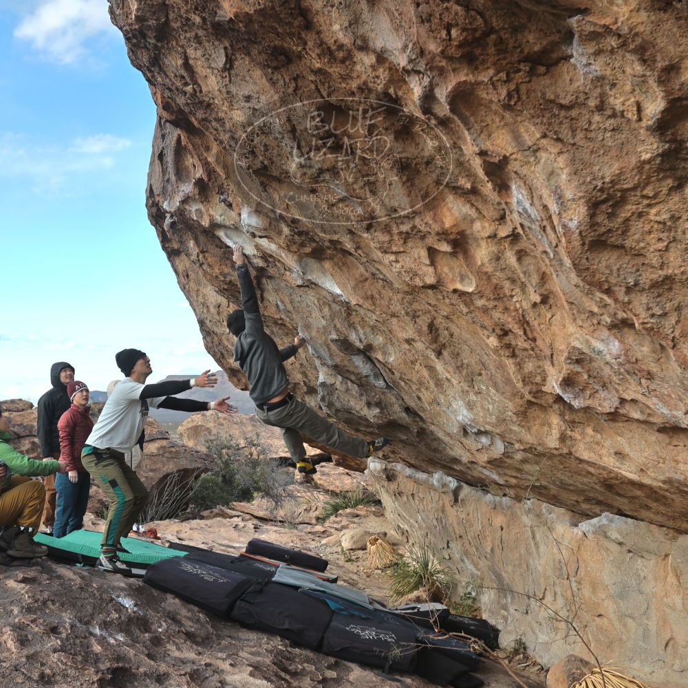 

Filename: SRM_20231125_1622312.jpg
Aperture: f/5.6
Shutter Speed: 1/640
Body: Canon EOS R6
Lens: Canon EF 16-35mm f/2.8 L