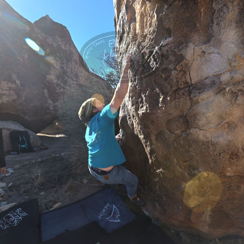 

Filename: SRM_20231202_1032330.jpg
Aperture: f/7.1
Shutter Speed: 1/1250
Body: Canon EOS R6
Lens: Canon EF 16-35mm f/2.8 L