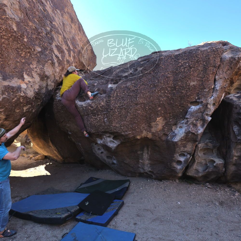 

Filename: SRM_20231202_1049400.jpg
Aperture: f/5.6
Shutter Speed: 1/500
Body: Canon EOS R6
Lens: Canon EF 16-35mm f/2.8 L