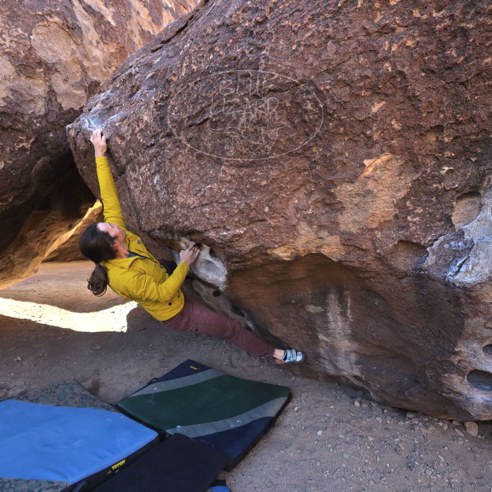 

Filename: SRM_20231202_1056270.jpg
Aperture: f/5.6
Shutter Speed: 1/500
Body: Canon EOS R6
Lens: Canon EF 16-35mm f/2.8 L