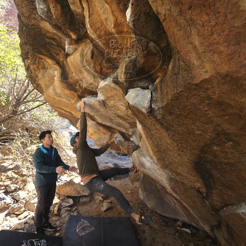 

Filename: SRM_20231202_1144220.jpg
Aperture: f/5.6
Shutter Speed: 1/500
Body: Canon EOS R6
Lens: Canon EF 16-35mm f/2.8 L