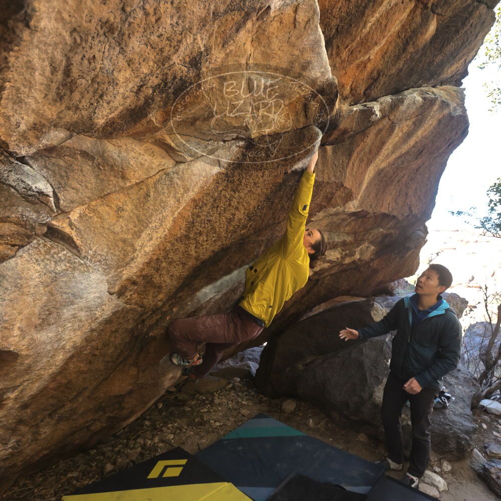 

Filename: SRM_20231202_1241540.jpg
Aperture: f/5.6
Shutter Speed: 1/640
Body: Canon EOS R6
Lens: Canon EF 16-35mm f/2.8 L