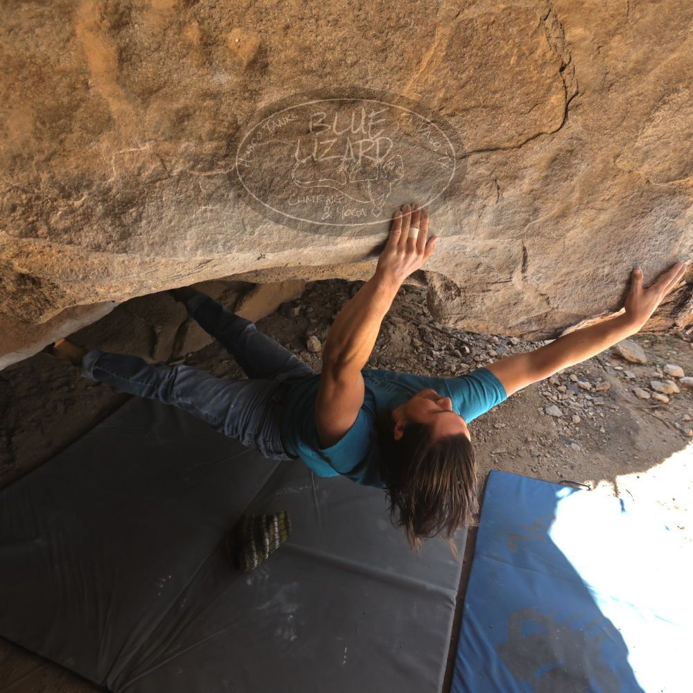 

Filename: SRM_20231202_1300111.jpg
Aperture: f/5.6
Shutter Speed: 1/400
Body: Canon EOS R6
Lens: Canon EF 16-35mm f/2.8 L