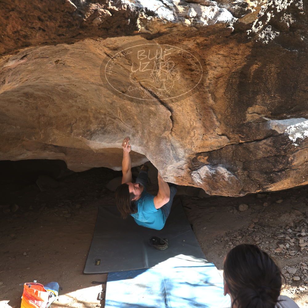 

Filename: SRM_20231202_1346520.jpg
Aperture: f/5.6
Shutter Speed: 1/400
Body: Canon EOS R6
Lens: Canon EF 16-35mm f/2.8 L