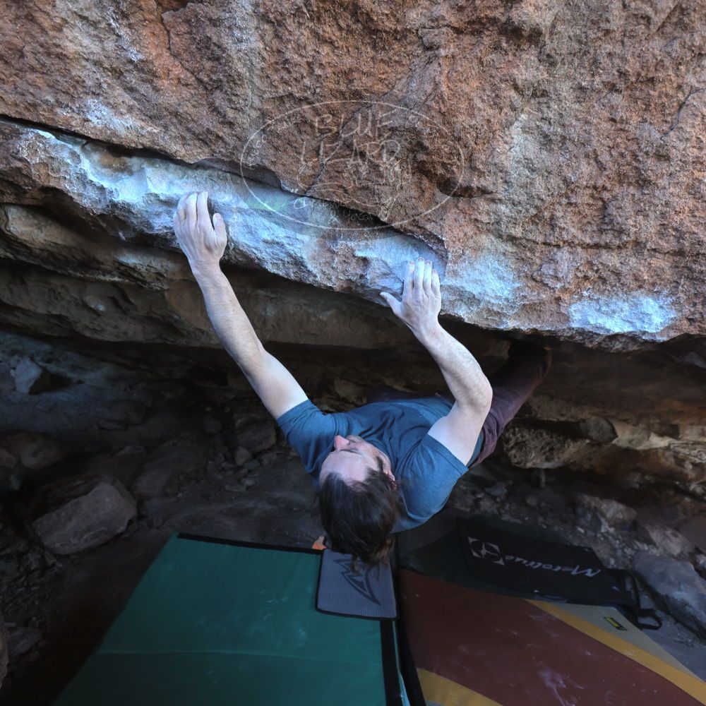 

Filename: SRM_20231202_1535300.jpg
Aperture: f/4.0
Shutter Speed: 1/250
Body: Canon EOS R6
Lens: Canon EF 16-35mm f/2.8 L