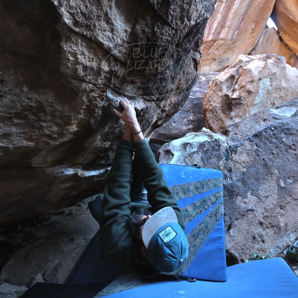 

Filename: SRM_20231202_1544580.jpg
Aperture: f/4.0
Shutter Speed: 1/250
Body: Canon EOS R6
Lens: Canon EF 16-35mm f/2.8 L