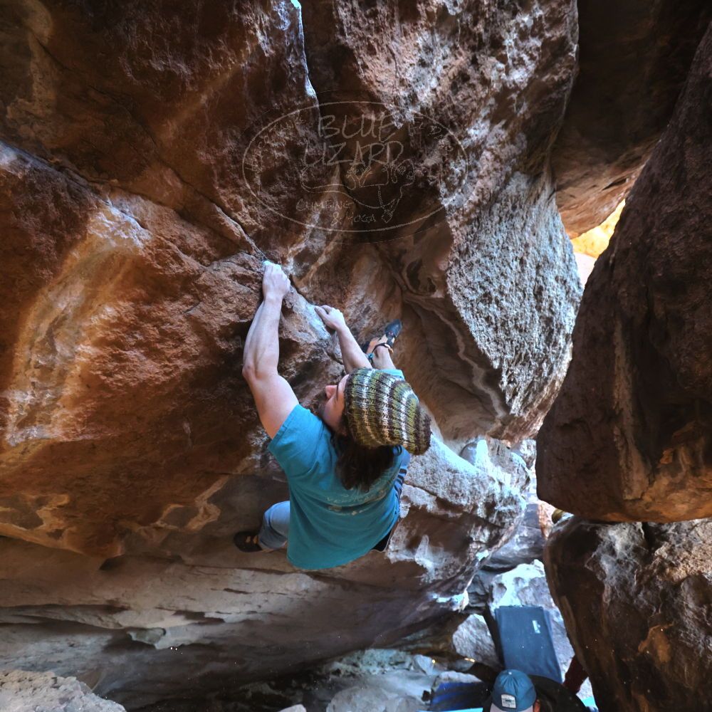 

Filename: SRM_20231202_1608140.jpg
Aperture: f/4.0
Shutter Speed: 1/250
Body: Canon EOS R6
Lens: Canon EF 16-35mm f/2.8 L