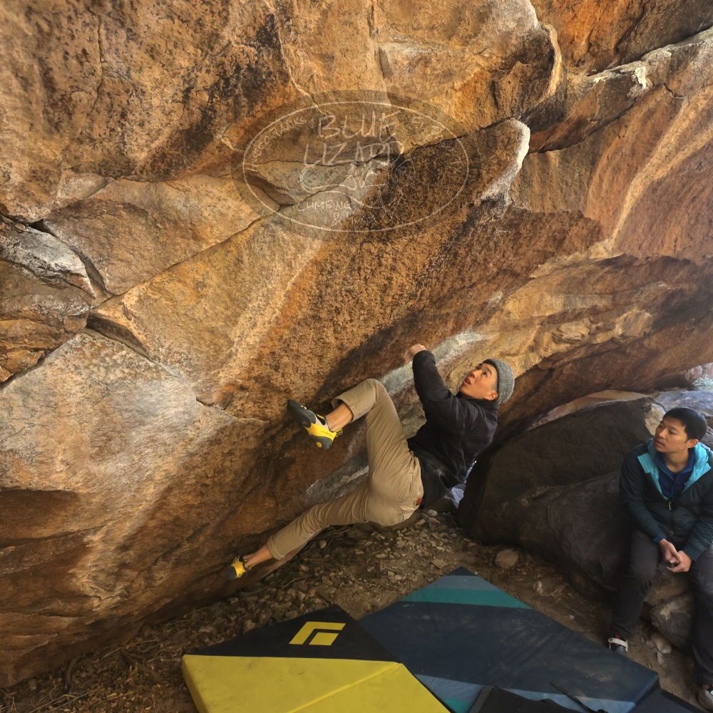 

Filename: SRM_20231202_1250480.jpg
Aperture: f/5.6
Shutter Speed: 1/640
Body: Canon EOS R6
Lens: Canon EF 16-35mm f/2.8 L