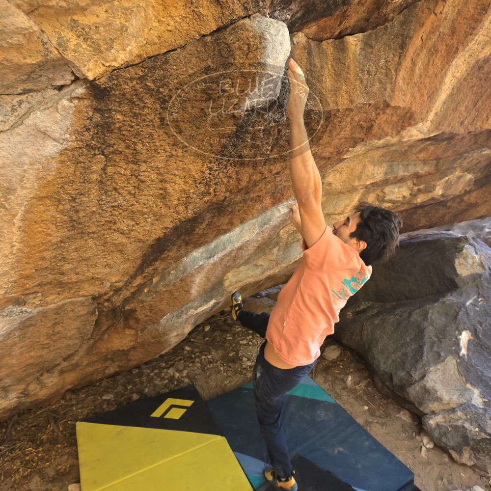 

Filename: SRM_20231202_1253232.jpg
Aperture: f/5.6
Shutter Speed: 1/640
Body: Canon EOS R6
Lens: Canon EF 16-35mm f/2.8 L