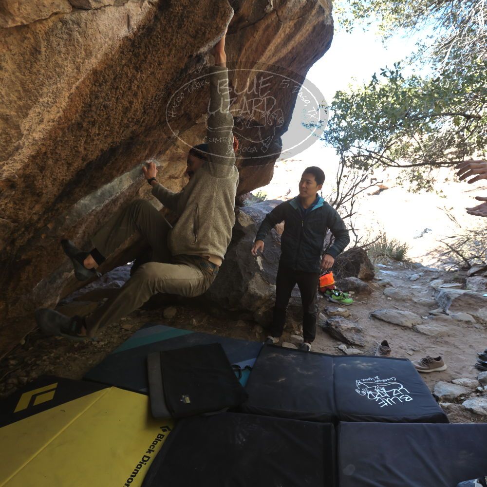 

Filename: SRM_20231202_1306521.jpg
Aperture: f/5.6
Shutter Speed: 1/400
Body: Canon EOS R6
Lens: Canon EF 16-35mm f/2.8 L