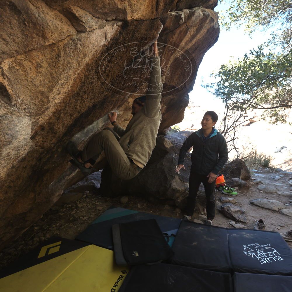 

Filename: SRM_20231202_1306524.jpg
Aperture: f/5.6
Shutter Speed: 1/400
Body: Canon EOS R6
Lens: Canon EF 16-35mm f/2.8 L