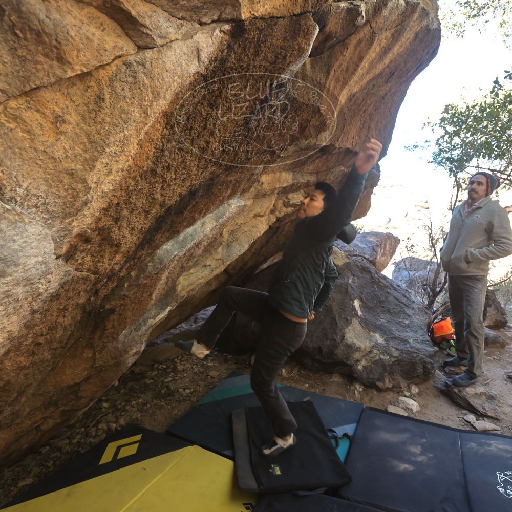 

Filename: SRM_20231202_1308310.jpg
Aperture: f/5.6
Shutter Speed: 1/400
Body: Canon EOS R6
Lens: Canon EF 16-35mm f/2.8 L