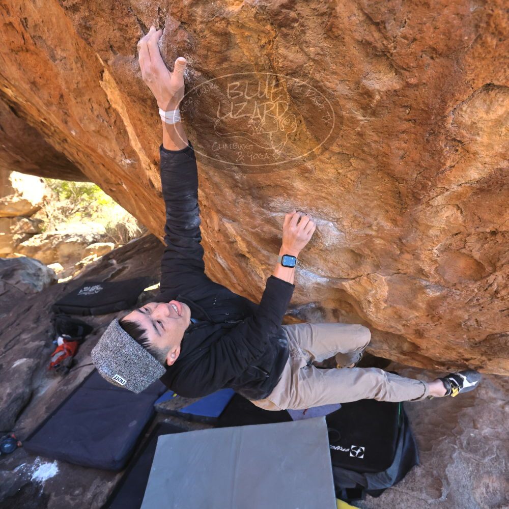 

Filename: SRM_20231202_1443320.jpg
Aperture: f/5.6
Shutter Speed: 1/1600
Body: Canon EOS R6
Lens: Canon EF 16-35mm f/2.8 L