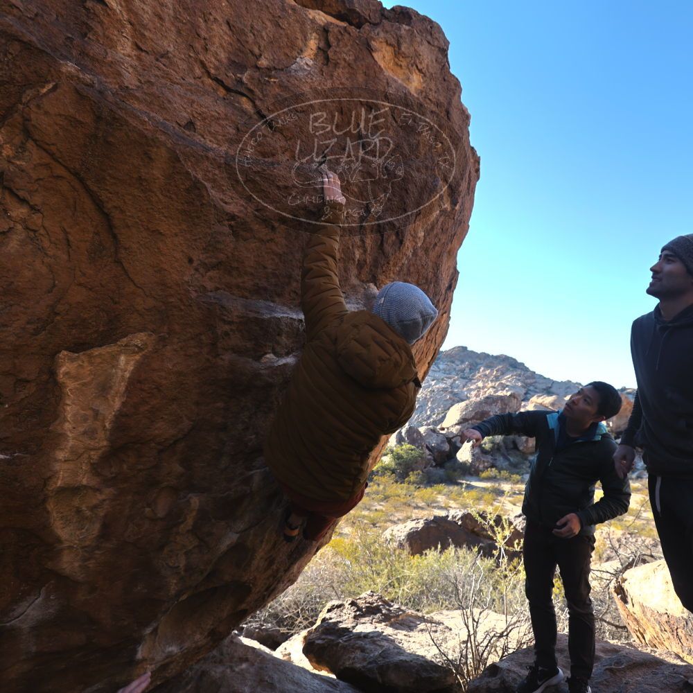 

Filename: SRM_20231202_1516520.jpg
Aperture: f/4.0
Shutter Speed: 1/250
Body: Canon EOS R6
Lens: Canon EF 16-35mm f/2.8 L