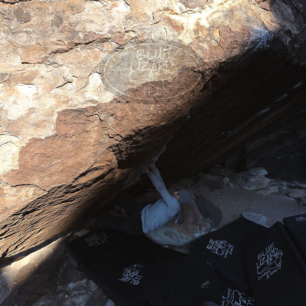 

Filename: SRM_20231209_1008440.jpg
Aperture: f/5.6
Shutter Speed: 1/1600
Body: Canon EOS R6
Lens: Canon EF 16-35mm f/2.8 L