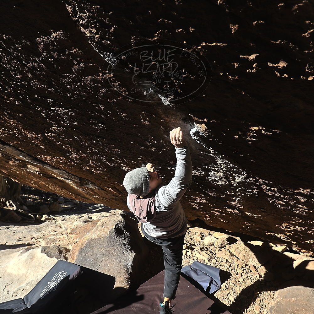 

Filename: SRM_20231209_1033550.jpg
Aperture: f/5.6
Shutter Speed: 1/1600
Body: Canon EOS R6
Lens: Canon EF 16-35mm f/2.8 L