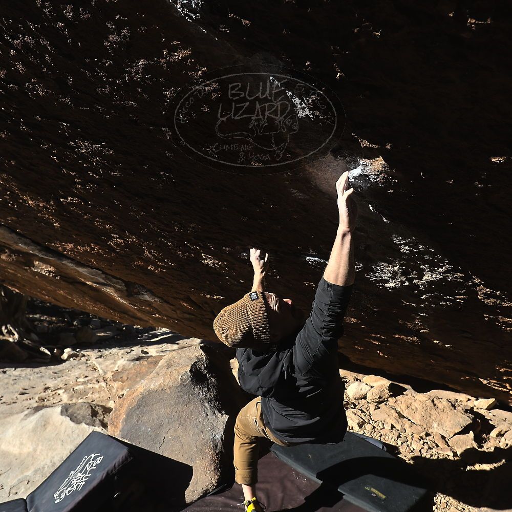 

Filename: SRM_20231209_1036561.jpg
Aperture: f/5.6
Shutter Speed: 1/1000
Body: Canon EOS R6
Lens: Canon EF 16-35mm f/2.8 L