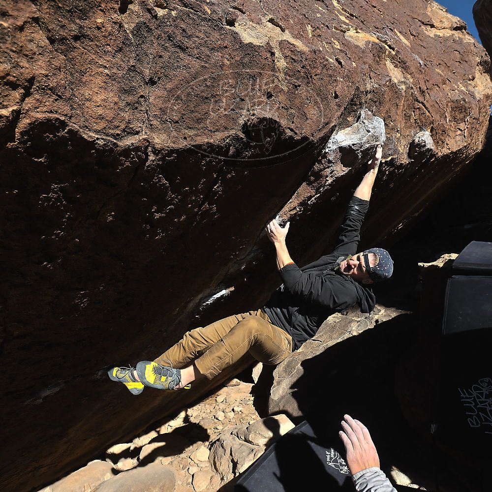 

Filename: SRM_20231209_1043130.jpg
Aperture: f/5.6
Shutter Speed: 1/1000
Body: Canon EOS R6
Lens: Canon EF 16-35mm f/2.8 L