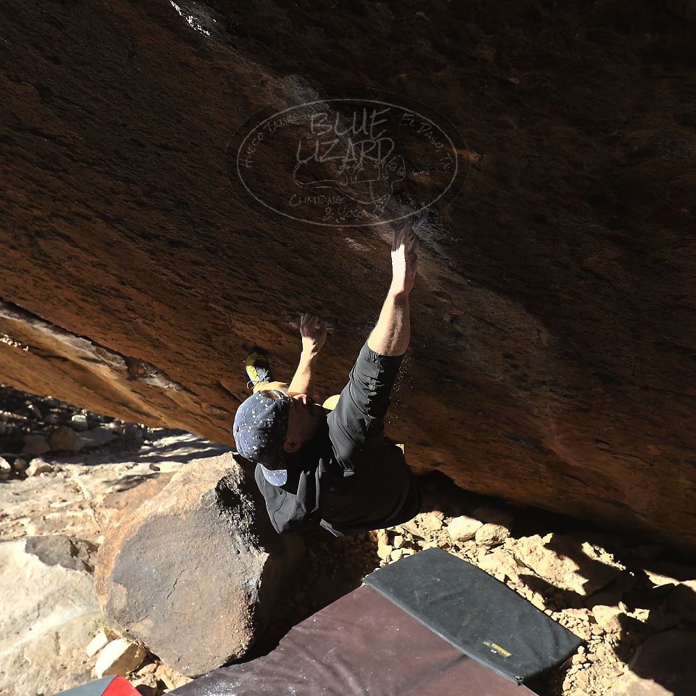 

Filename: SRM_20231209_1054210.jpg
Aperture: f/5.6
Shutter Speed: 1/1000
Body: Canon EOS R6
Lens: Canon EF 16-35mm f/2.8 L