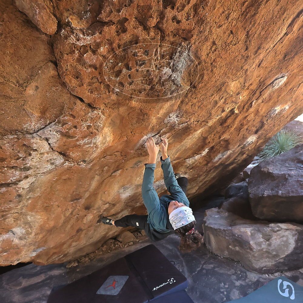 

Filename: SRM_20231209_1156380.jpg
Aperture: f/5.6
Shutter Speed: 1/1250
Body: Canon EOS R6
Lens: Canon EF 16-35mm f/2.8 L