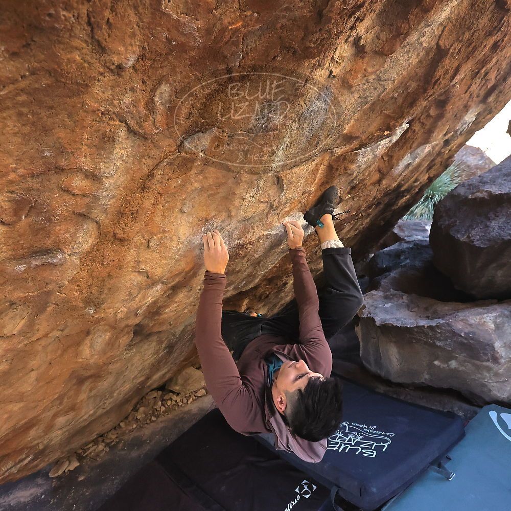 

Filename: SRM_20231209_1246440.jpg
Aperture: f/5.6
Shutter Speed: 1/1250
Body: Canon EOS R6
Lens: Canon EF 16-35mm f/2.8 L