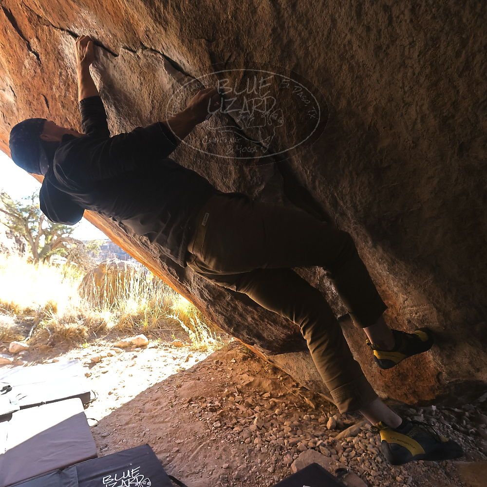 

Filename: SRM_20231209_1421390.jpg
Aperture: f/5.6
Shutter Speed: 1/1250
Body: Canon EOS R6
Lens: Canon EF 16-35mm f/2.8 L