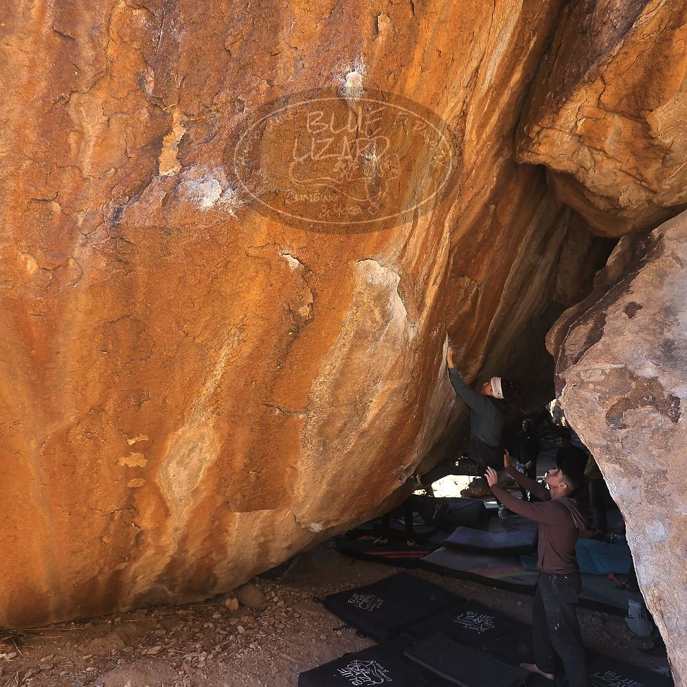 

Filename: SRM_20231209_1448390.jpg
Aperture: f/4.0
Shutter Speed: 1/500
Body: Canon EOS R6
Lens: Canon EF 16-35mm f/2.8 L