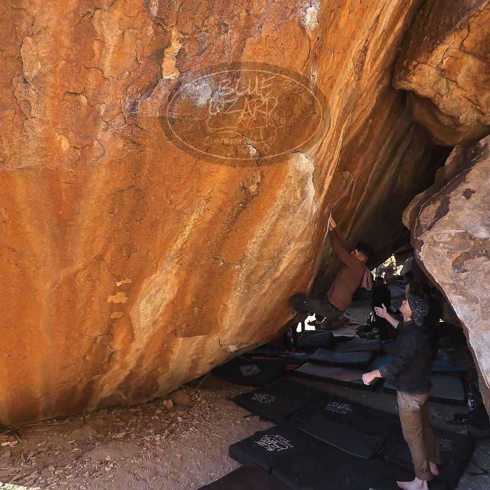 

Filename: SRM_20231209_1456140.jpg
Aperture: f/4.0
Shutter Speed: 1/500
Body: Canon EOS R6
Lens: Canon EF 16-35mm f/2.8 L