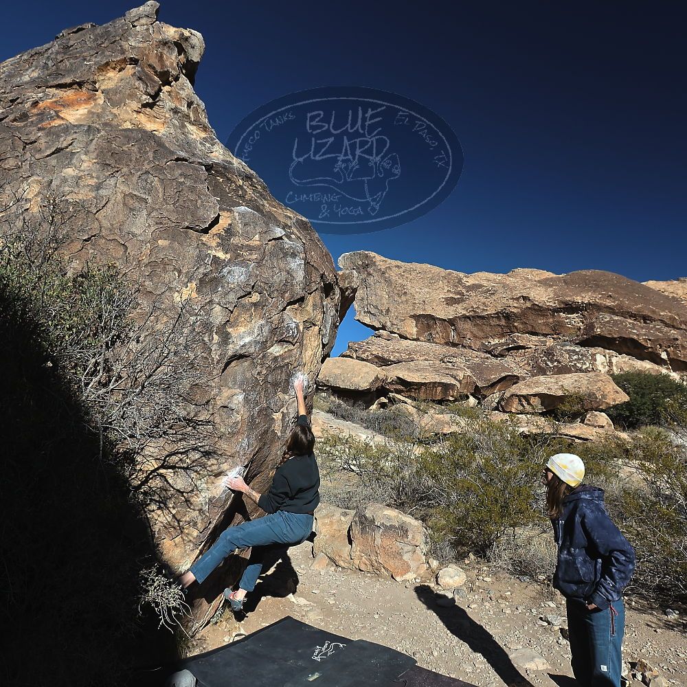 

Filename: SRM_20231210_0953160.jpg
Aperture: f/8.0
Shutter Speed: 1/640
Body: Canon EOS R6
Lens: Canon EF 16-35mm f/2.8 L